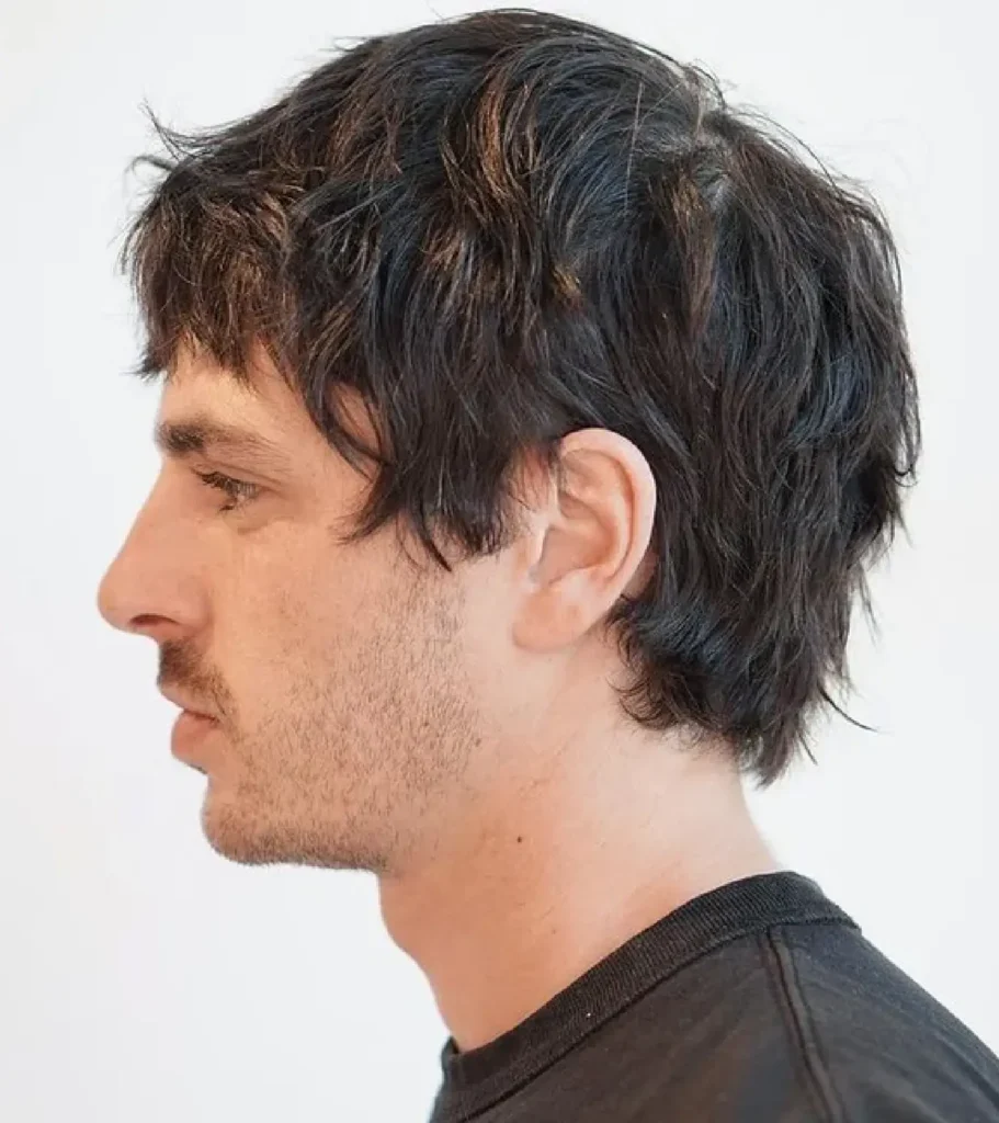 Shaggy Mod Cut