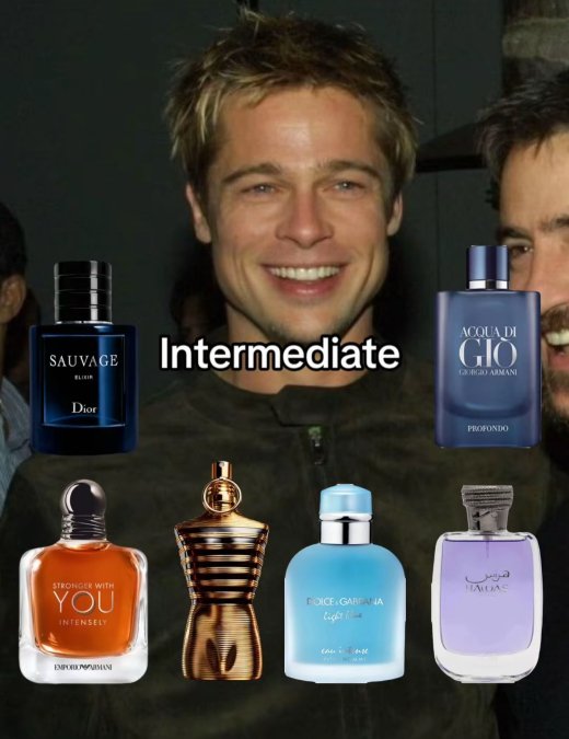 The Intermediate Cologne Shelf