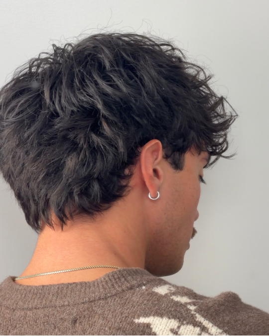 Shaggy Layered Crop