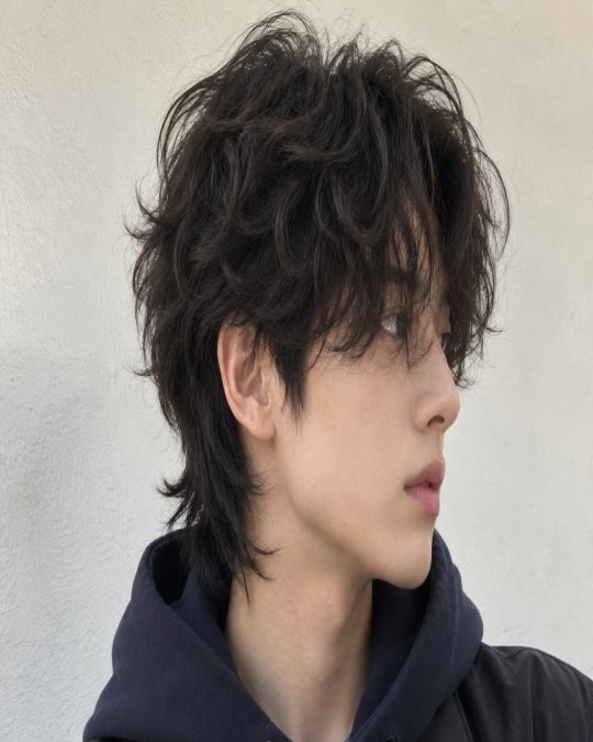 Tousled Fringe Wolf Cut