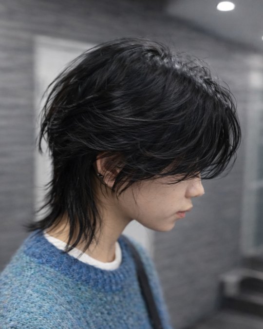 Eye Length Fringe Wolf Cut