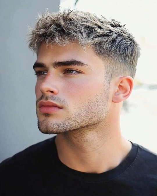 Frosted Tips + Faded Sides