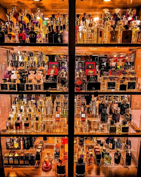 Perfume Cabinet With Warm Lighting