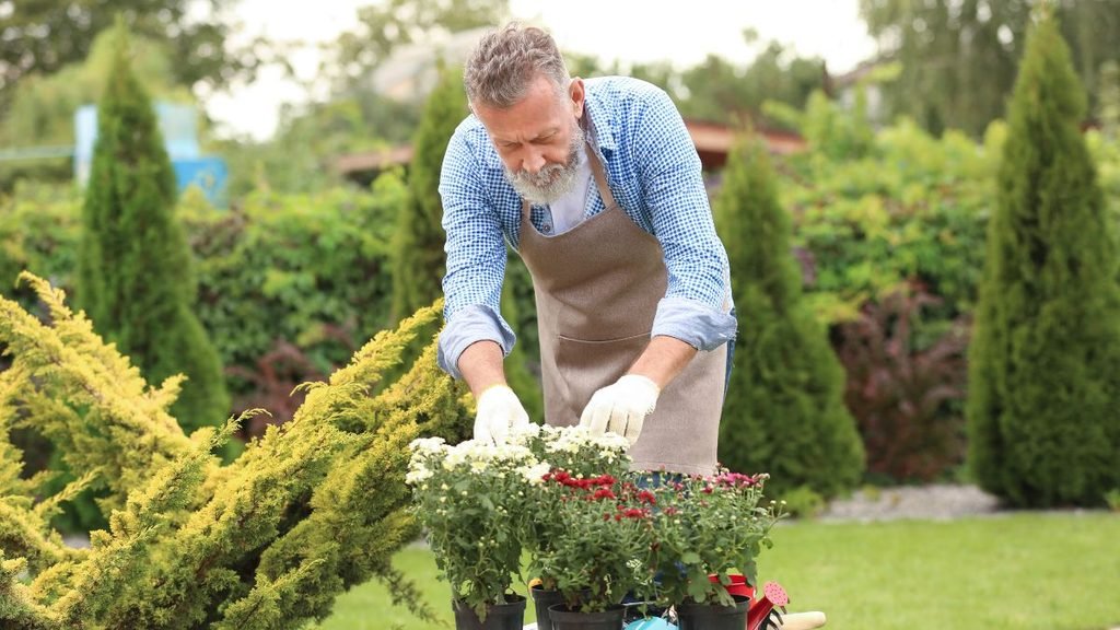 gardening