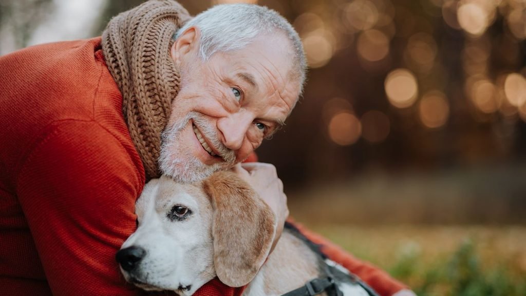 Pet