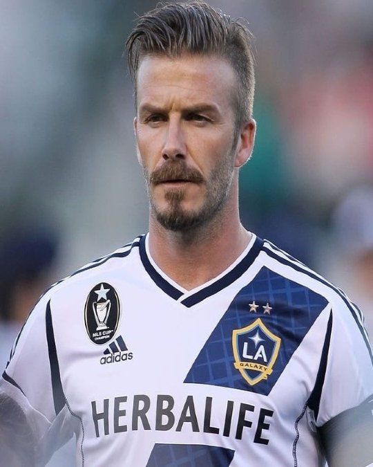 Short Van Dyke + Swept Back Hair