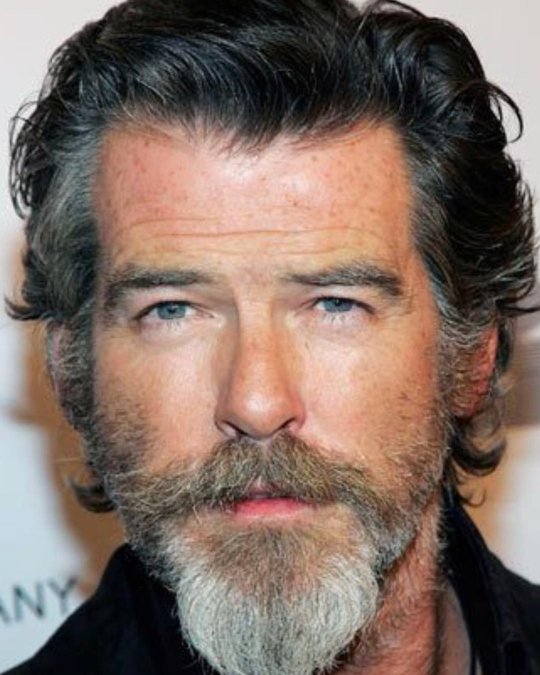 Full Gray Beard + Wavy Swept Hair