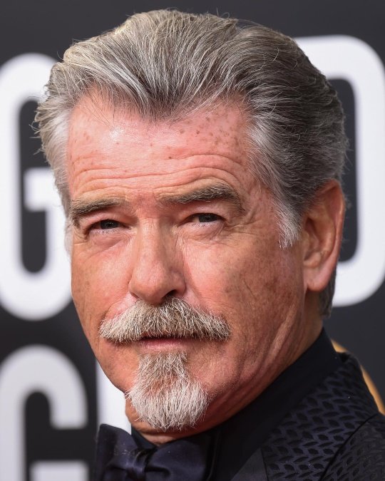 Gray Van Dyke + Slicked Back Hair